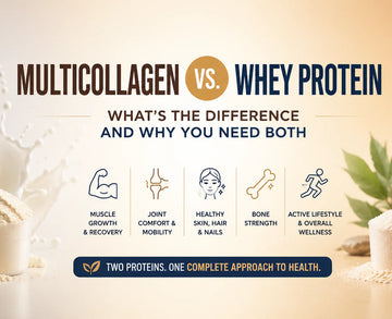 MultiCollagen vs. Whey Protein: What’s the Difference and Why You Need Both